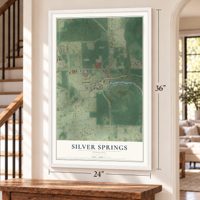 Silver Springs, Florida map, 24 x 36 inch print in a white frame by a staircase
