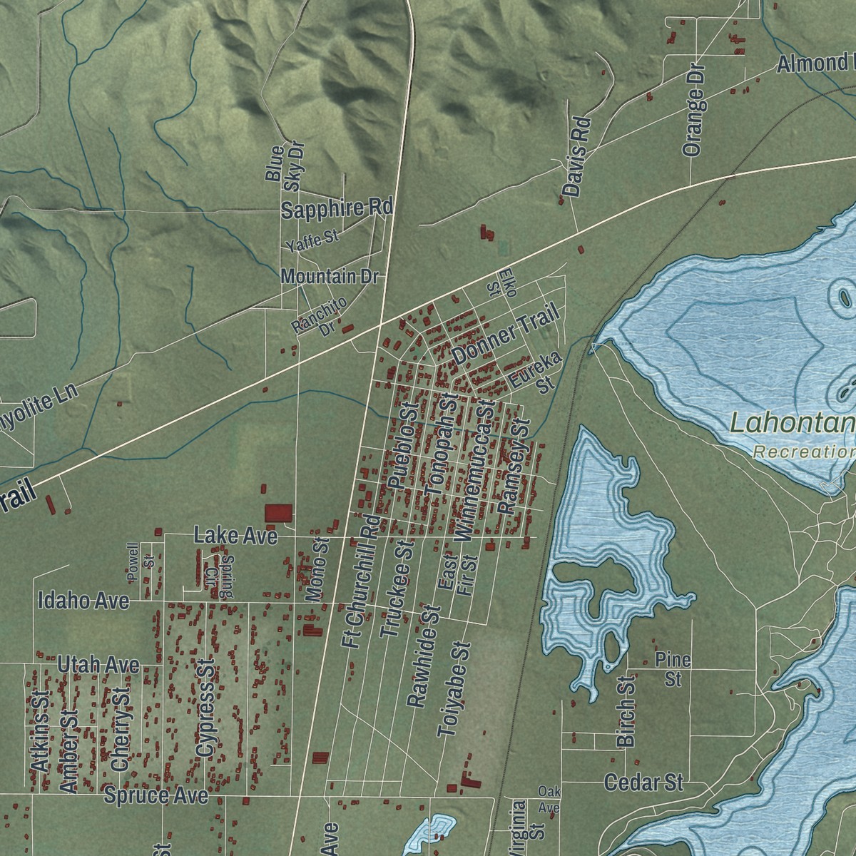 Second close-up of the map of Silver Springs, Nevada print showing more streets and buildings