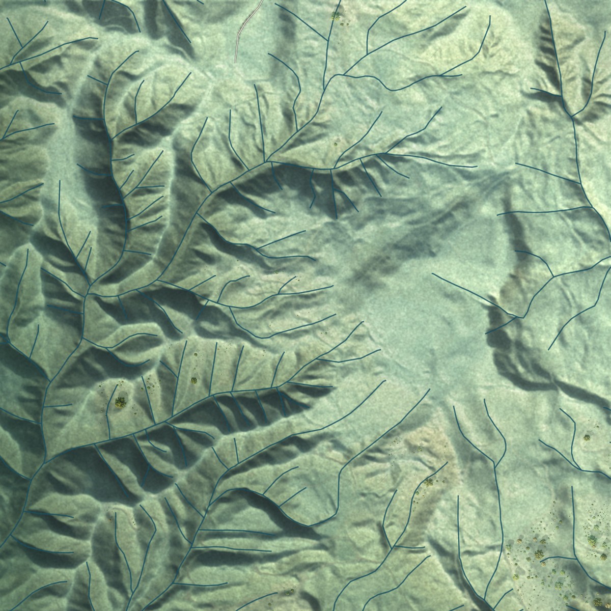 Second close-up of the map of Skamokawa Valley, Washington print showing more streets and buildings