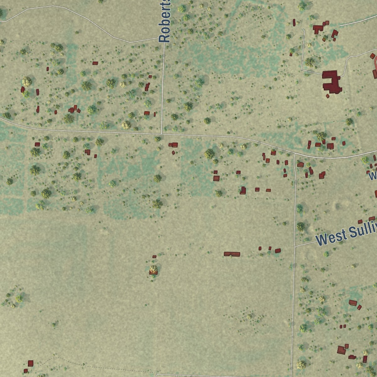 Second close-up of the map of Skidmore, Texas print showing more streets and buildings
