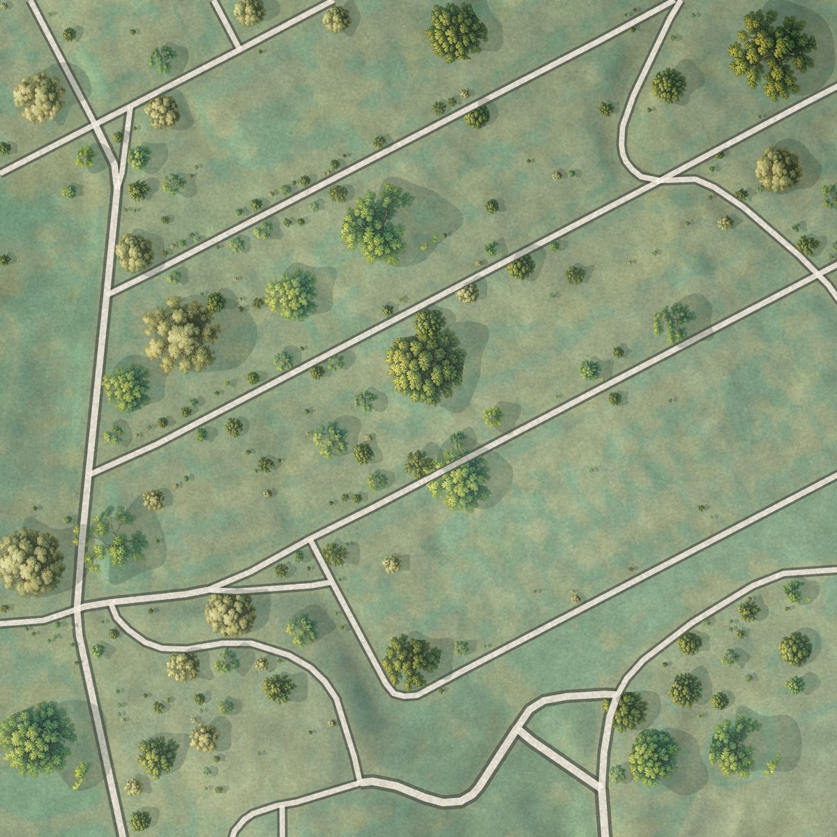 Second close-up of the map of Skunk City, New York print showing more streets and buildings