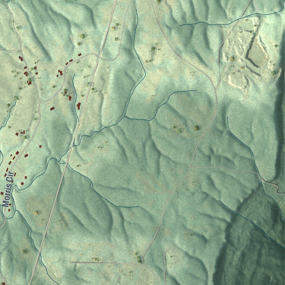 Second close-up of the map of Skyline, Alabama print showing more streets and buildings