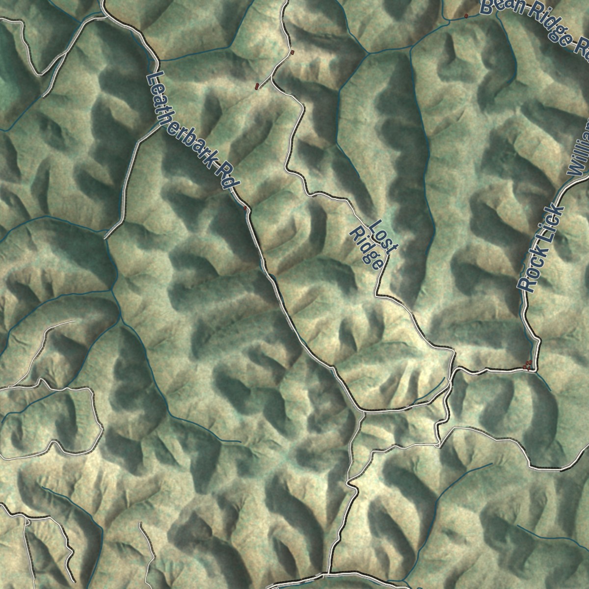 Second close-up of the map of Smithville, West Virginia print showing more streets and buildings