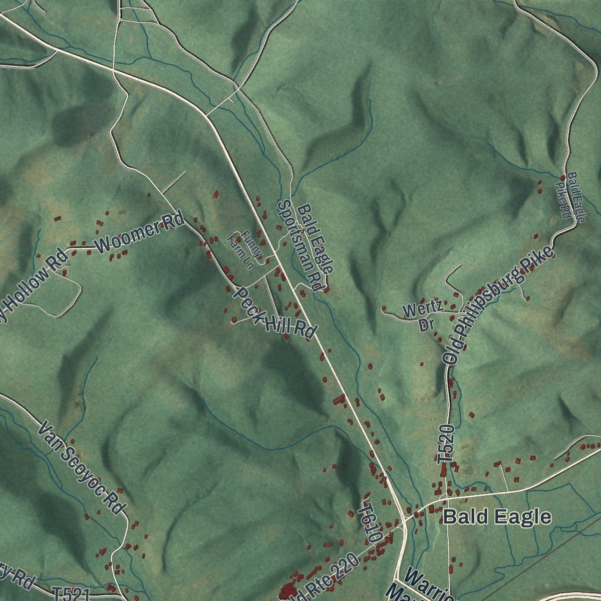 Second close-up of the map of Snyder, Blair County, Pennsylvania print showing more streets and buildings