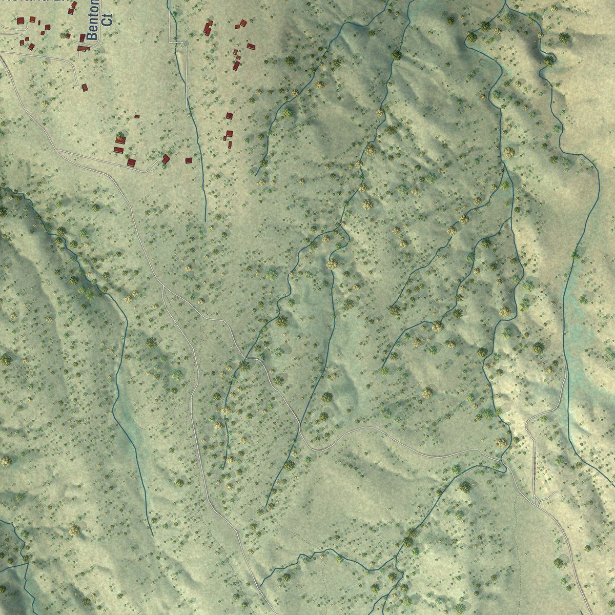 Second close-up of the map of Sonoita, Arizona print showing more streets and buildings