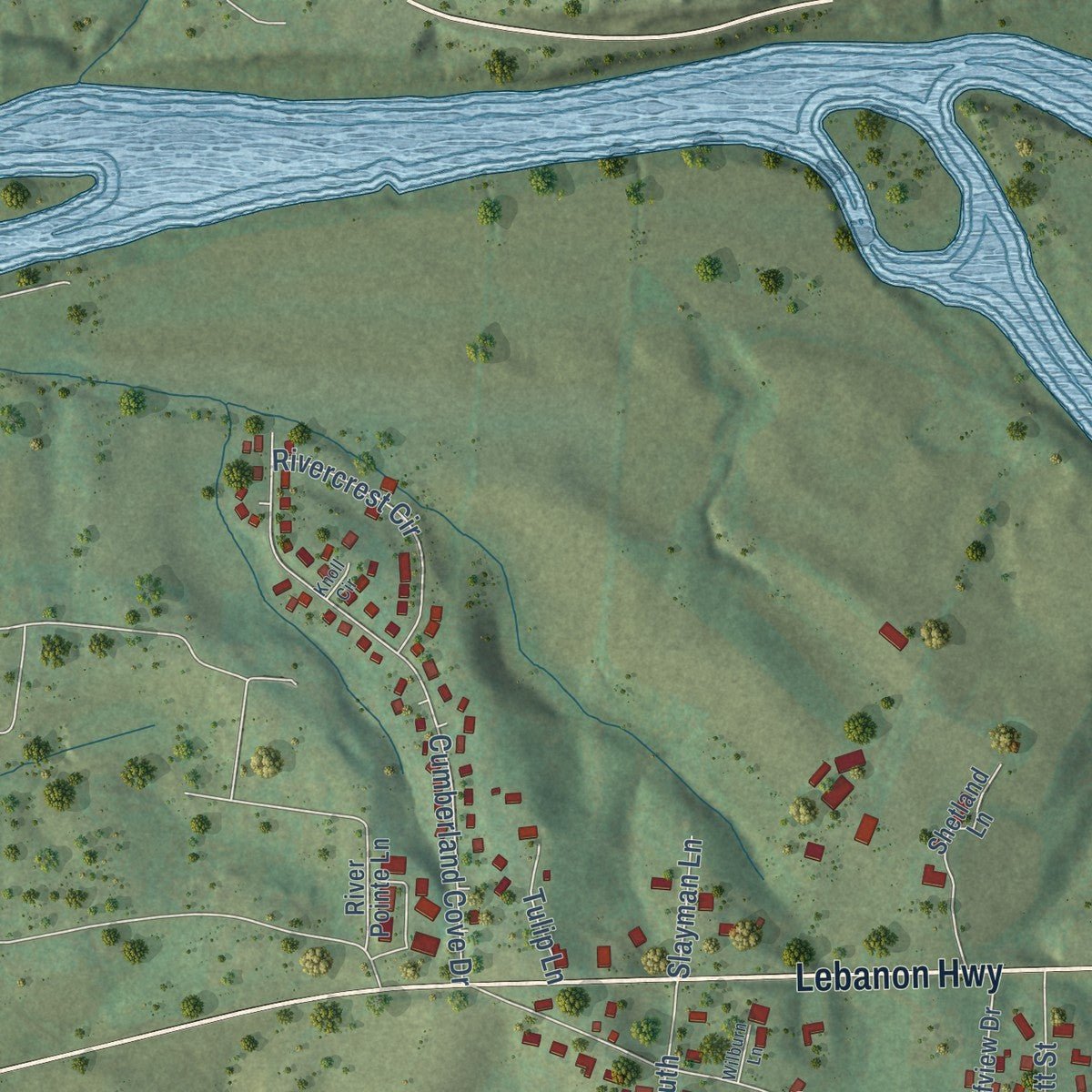 Second close-up of the map of South Carthage, Tennessee print showing more streets and buildings