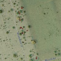 Second close-up of the map of South Frydek, Texas print showing more streets and buildings