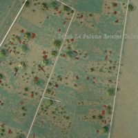 Second close-up of the map of South La Paloma, Texas print showing more streets and buildings