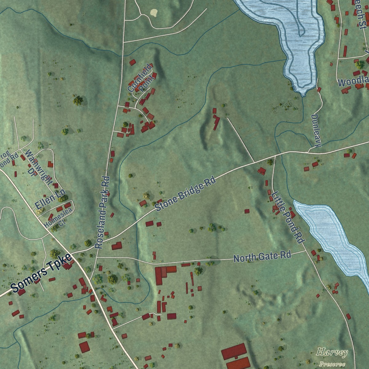 Second close-up of the map of South Woodstock, Connecticut print showing more streets and buildings