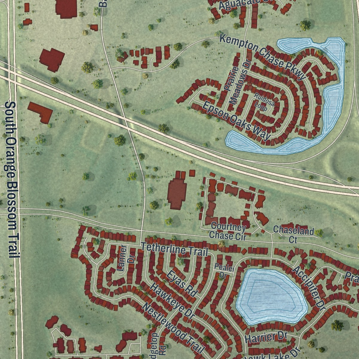 Second close-up of the map of Southchase, Florida print showing more streets and buildings