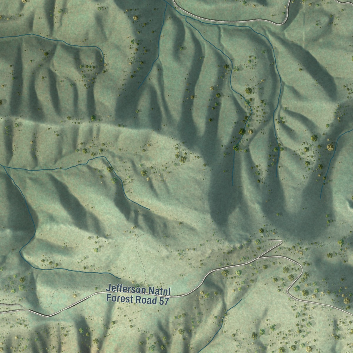 Second close-up of the map of Speedwell, Virginia print showing more streets and buildings