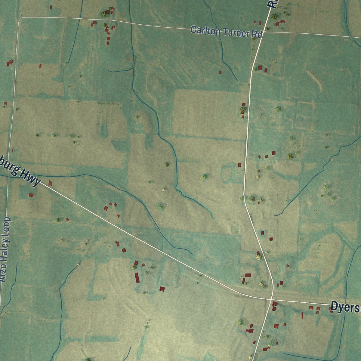 Second close-up of the map of Spring Hill, Gibson County, Tennessee print showing more streets and buildings
