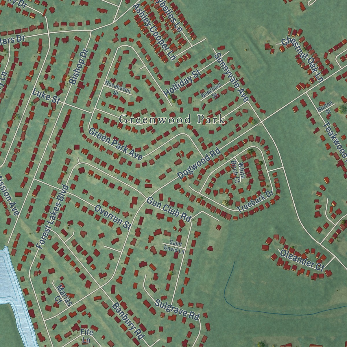 Second close-up of the map of Springfield, Charleston County, South Carolina print showing more streets and buildings