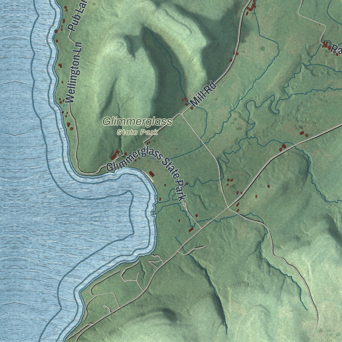 Second close-up of the map of Springfield, New York print showing more streets and buildings