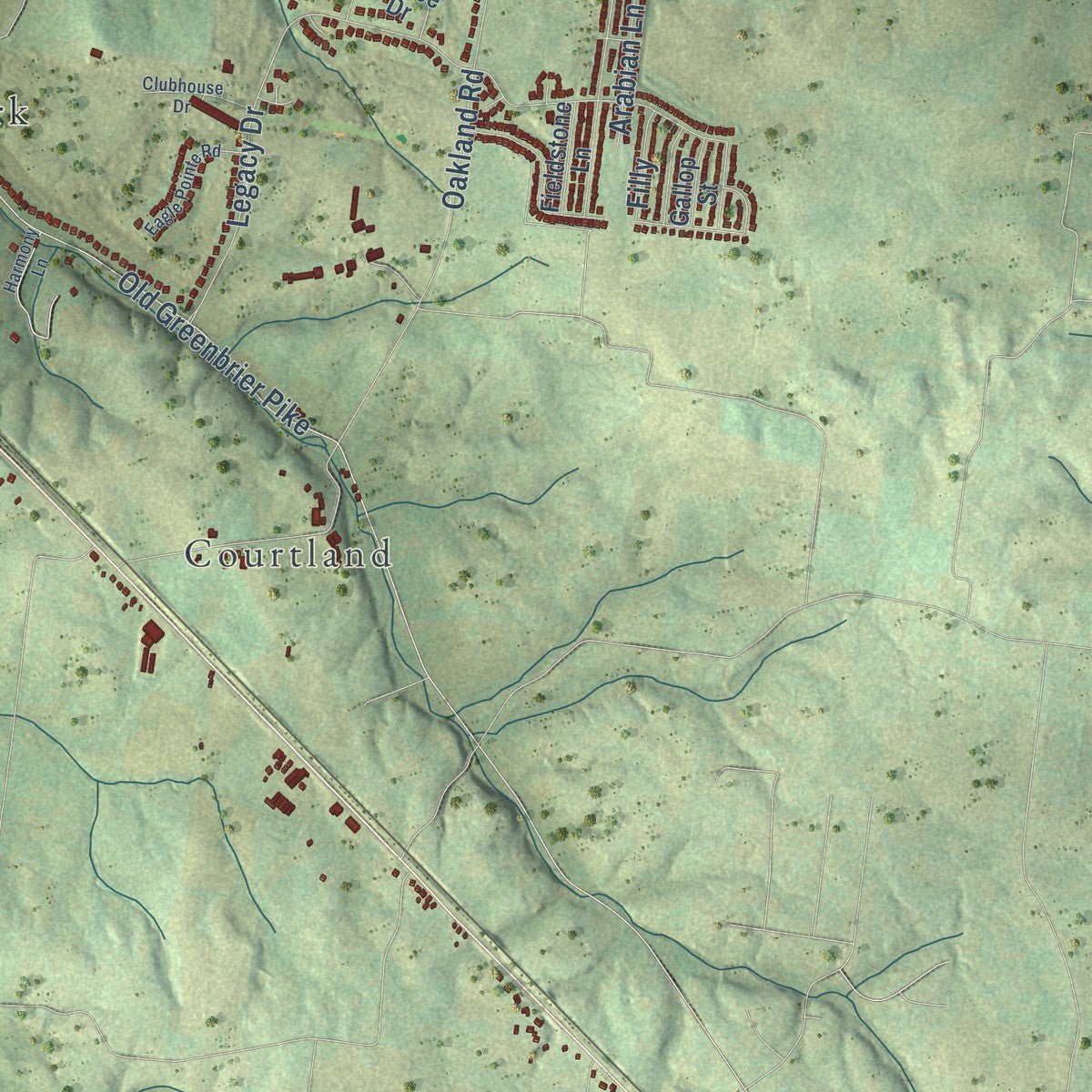 Second close-up of the map of Springfield, Tennessee print showing more streets and buildings