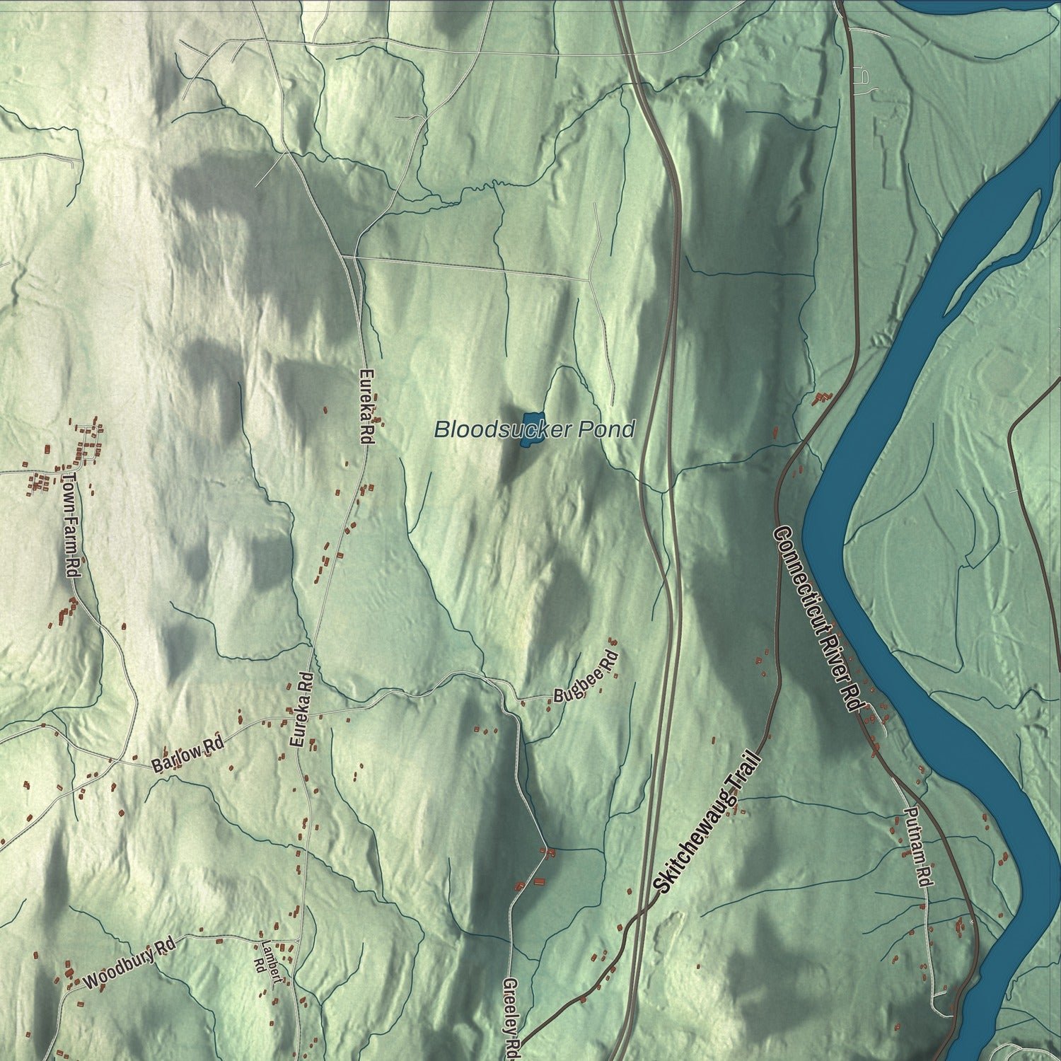 Close-up of the map of Springfield, Vermont print showing terrain and local geography