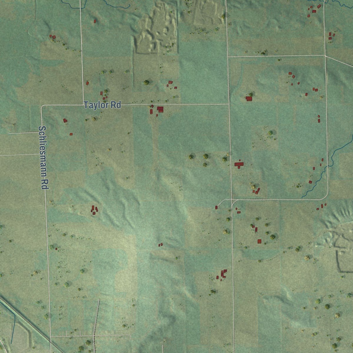 Second close-up of the map of Springvale, Columbia County, Wisconsin print showing more streets and buildings