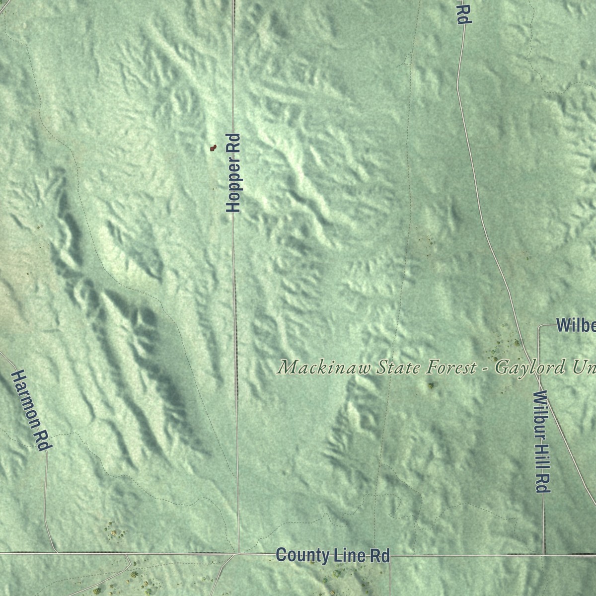 Second close-up of the map of Springvale, Michigan print showing more streets and buildings