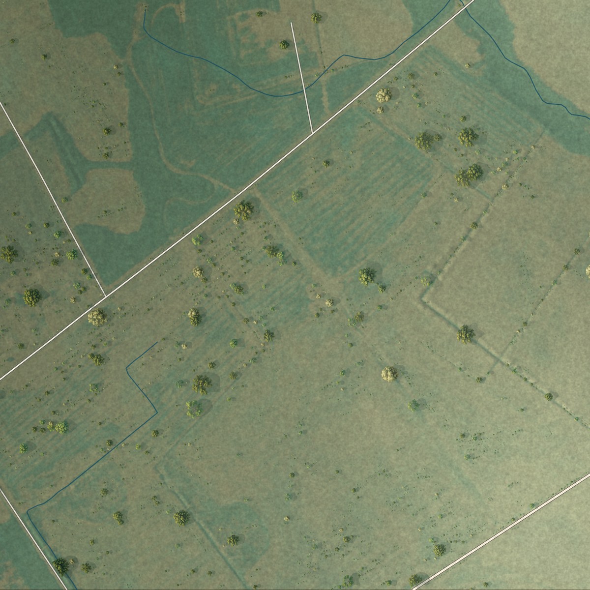 Second close-up of the map of St. Charles, South Carolina print showing more streets and buildings