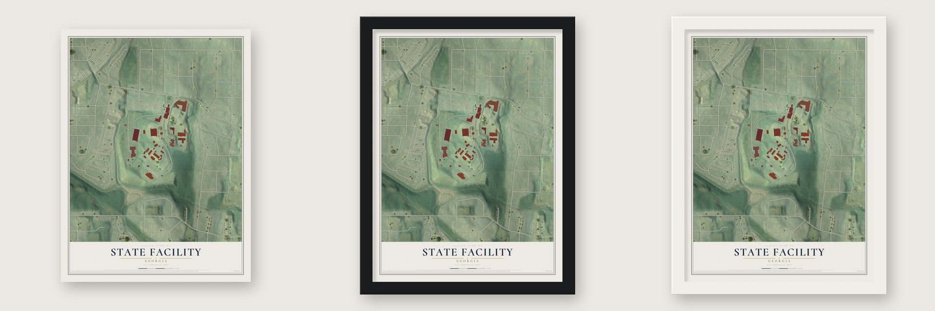 State Facility, Georgia map unframed, in a black wood frame and in a white wood frame