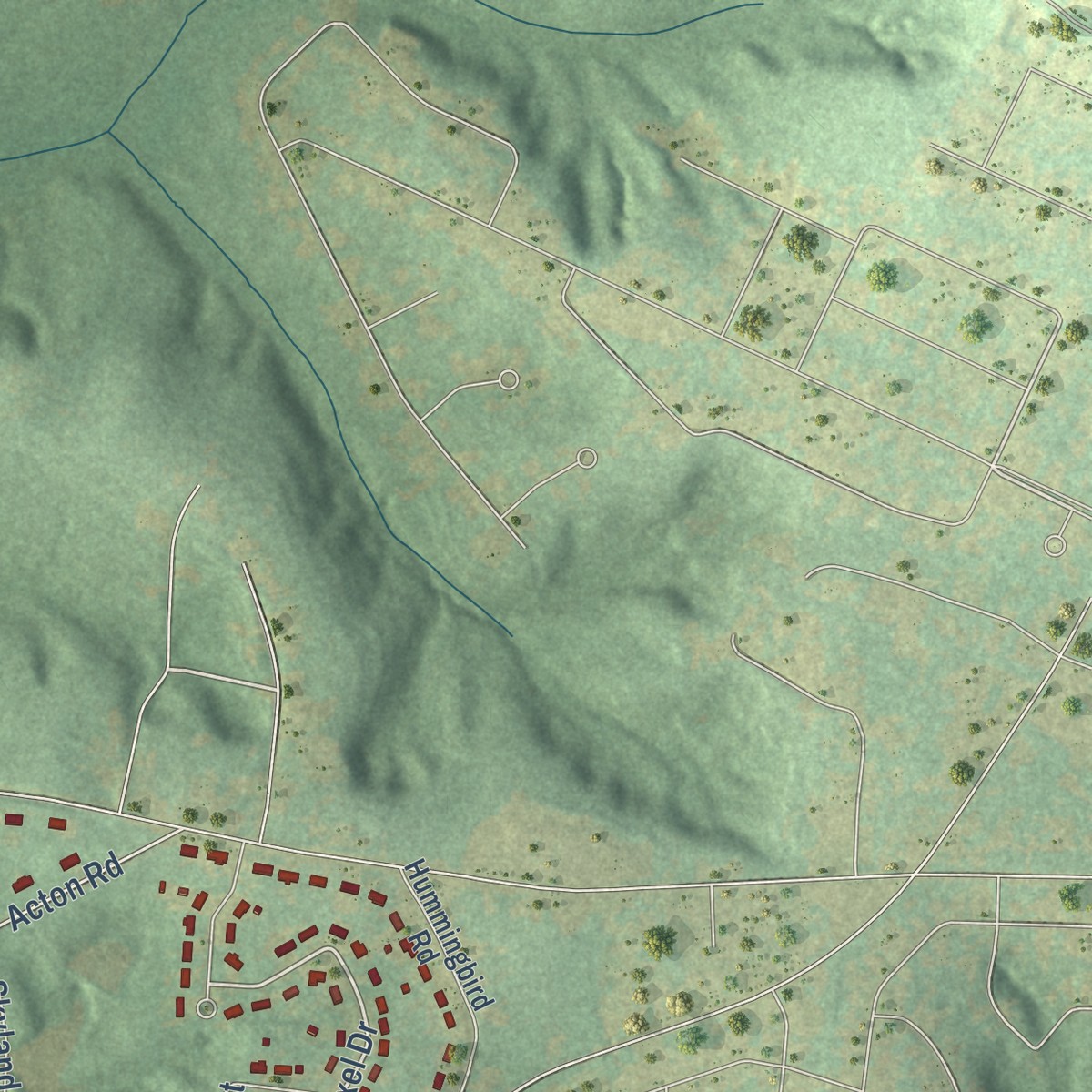 Second close-up of the map of Stateburg, South Carolina print showing more streets and buildings