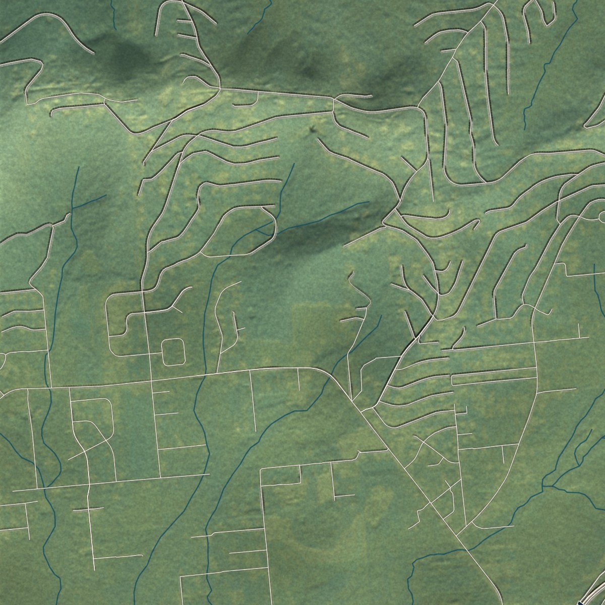 Second close-up of the map of Steele Creek, Alaska print showing more streets and buildings