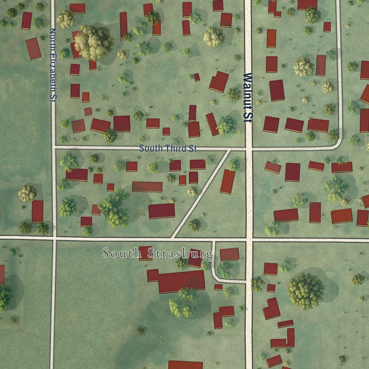 Second close-up of the map of Strasburg, Illinois print showing more streets and buildings