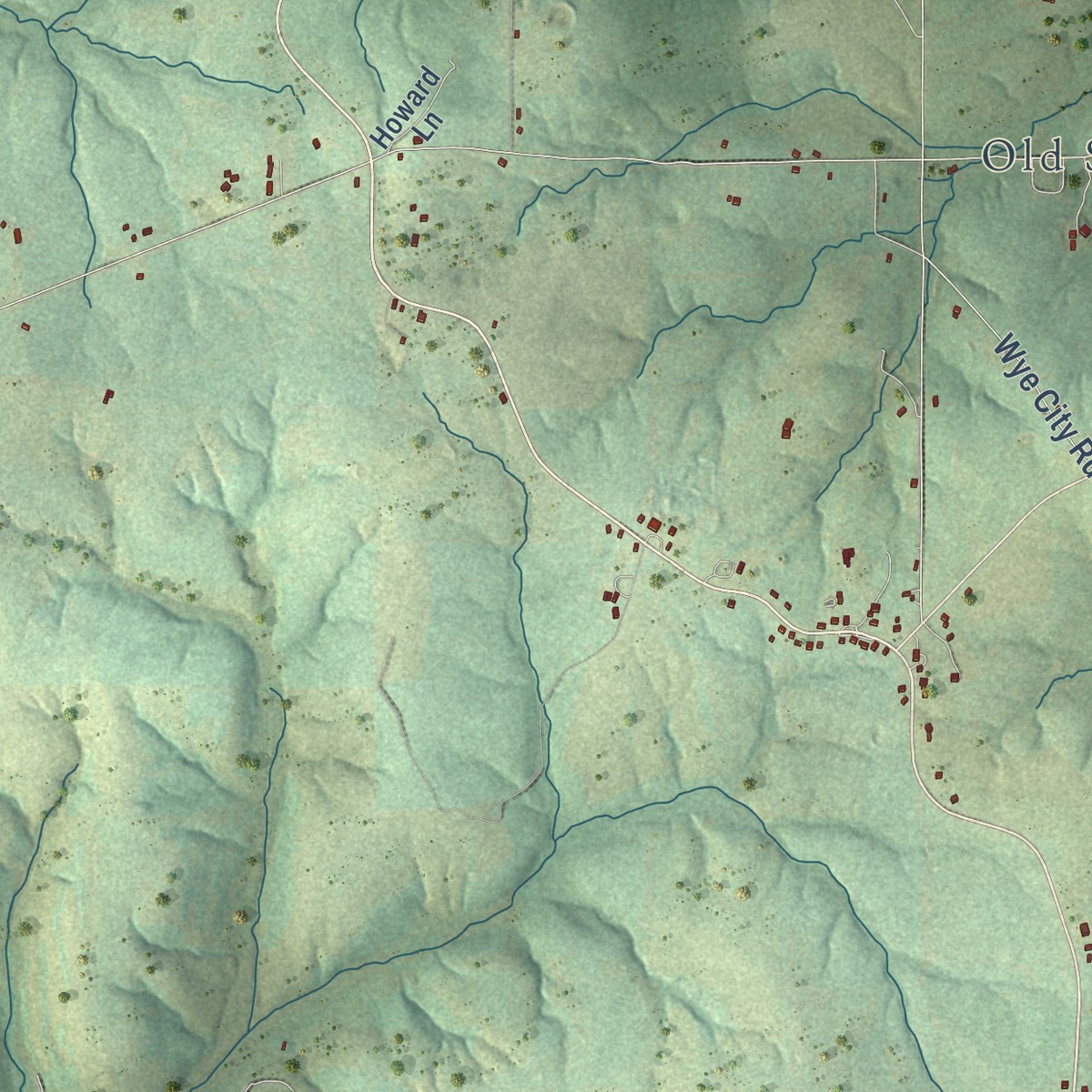 Second close-up of the map of Success, Missouri print showing more streets and buildings