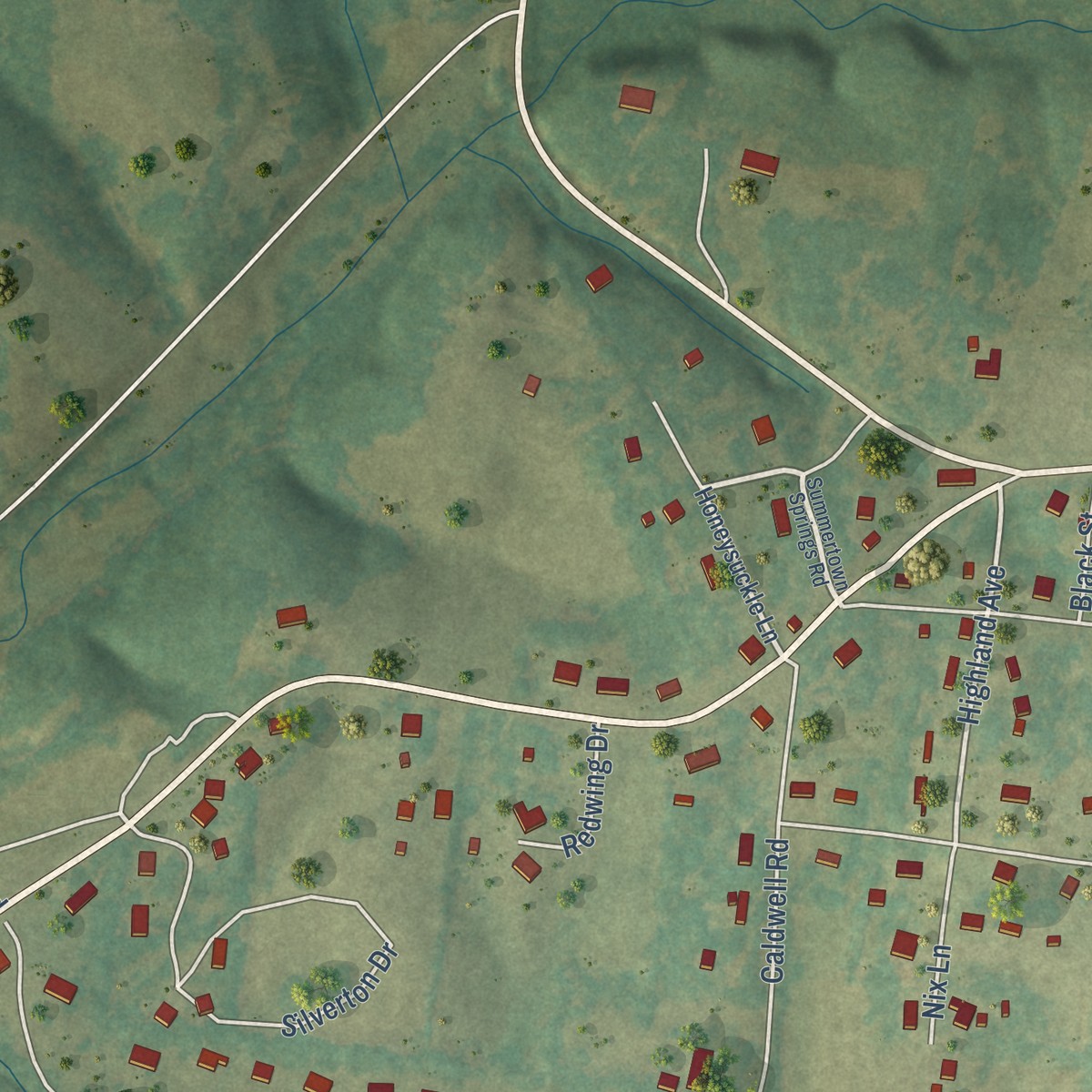 Second close-up of the map of Summertown, Tennessee print showing more streets and buildings