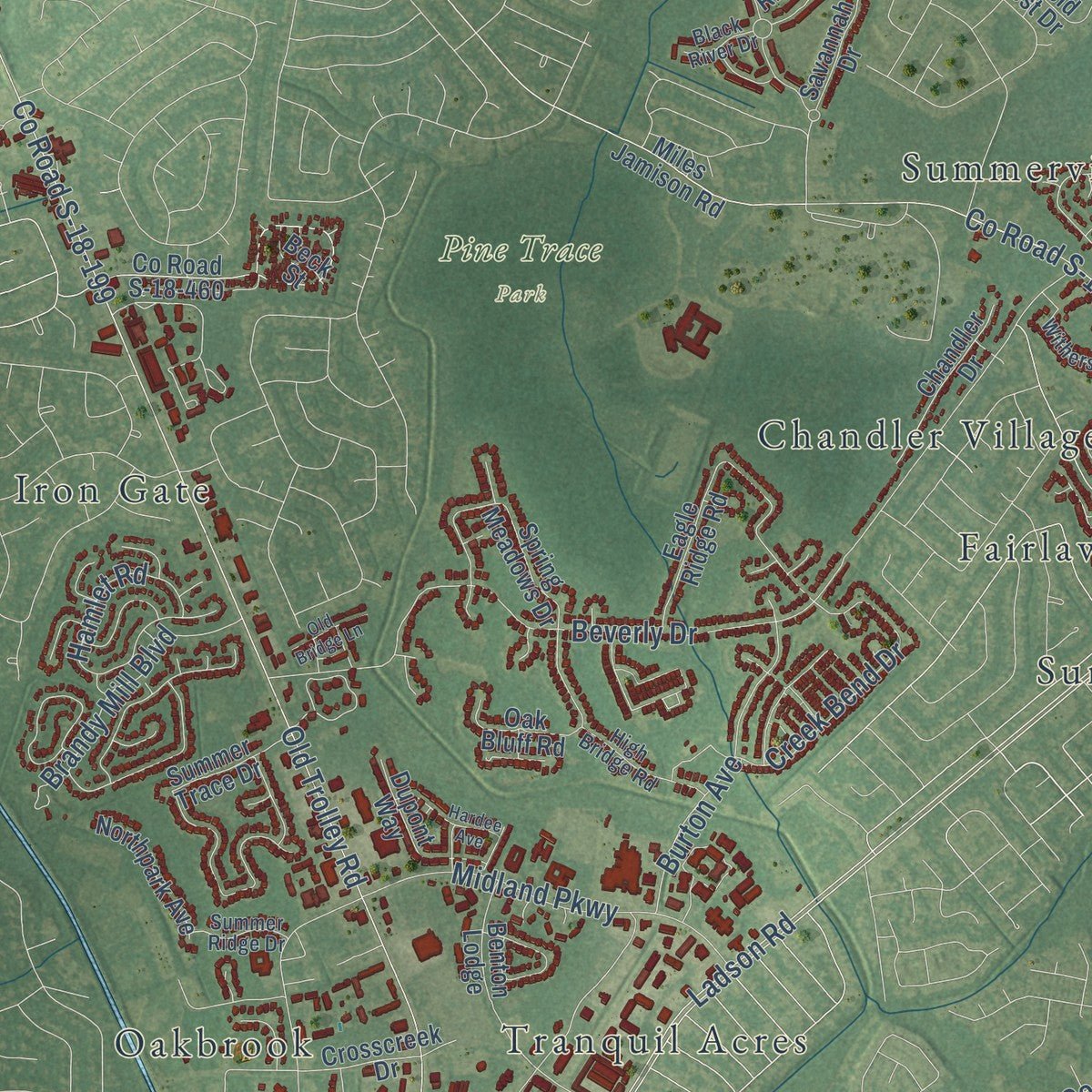 Second close-up of the map of Summerville, South Carolina print showing more streets and buildings