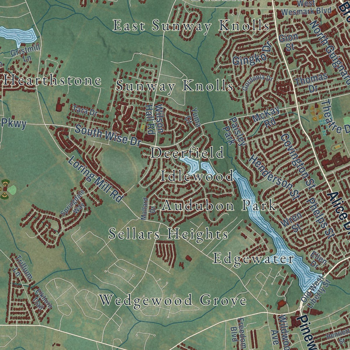 Second close-up of the map of Sumter, South Carolina print showing more streets and buildings