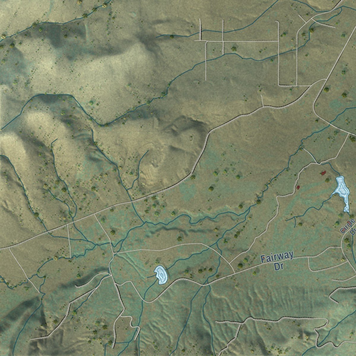 Second close-up of the map of Susanville, California print showing more streets and buildings