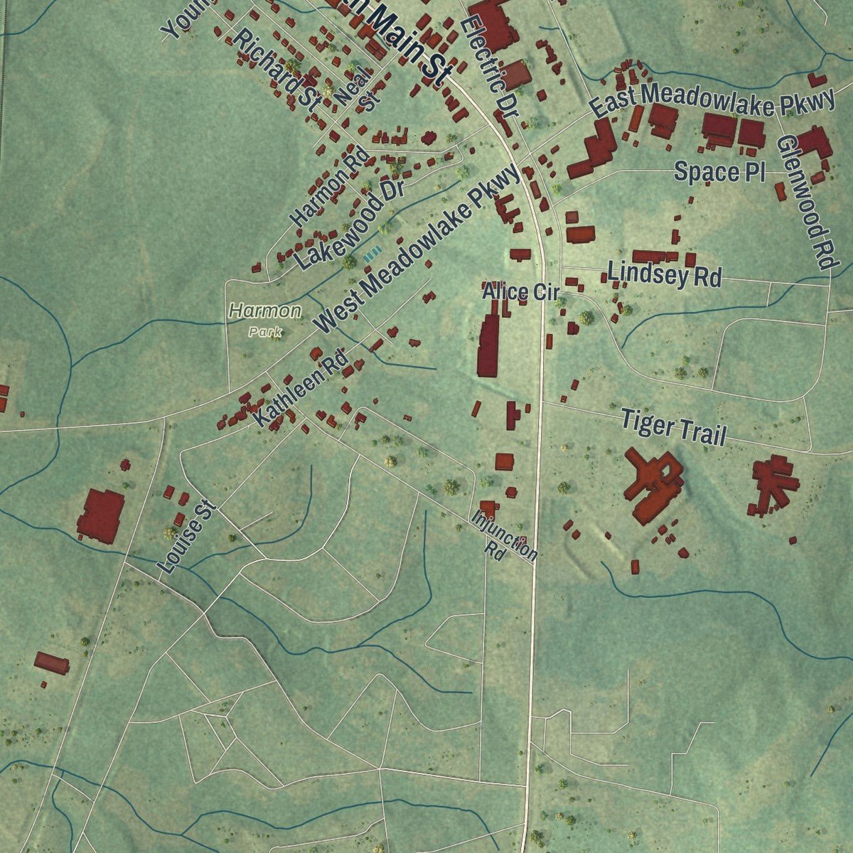 Second close-up of the map of Swainsboro, Georgia print showing more streets and buildings