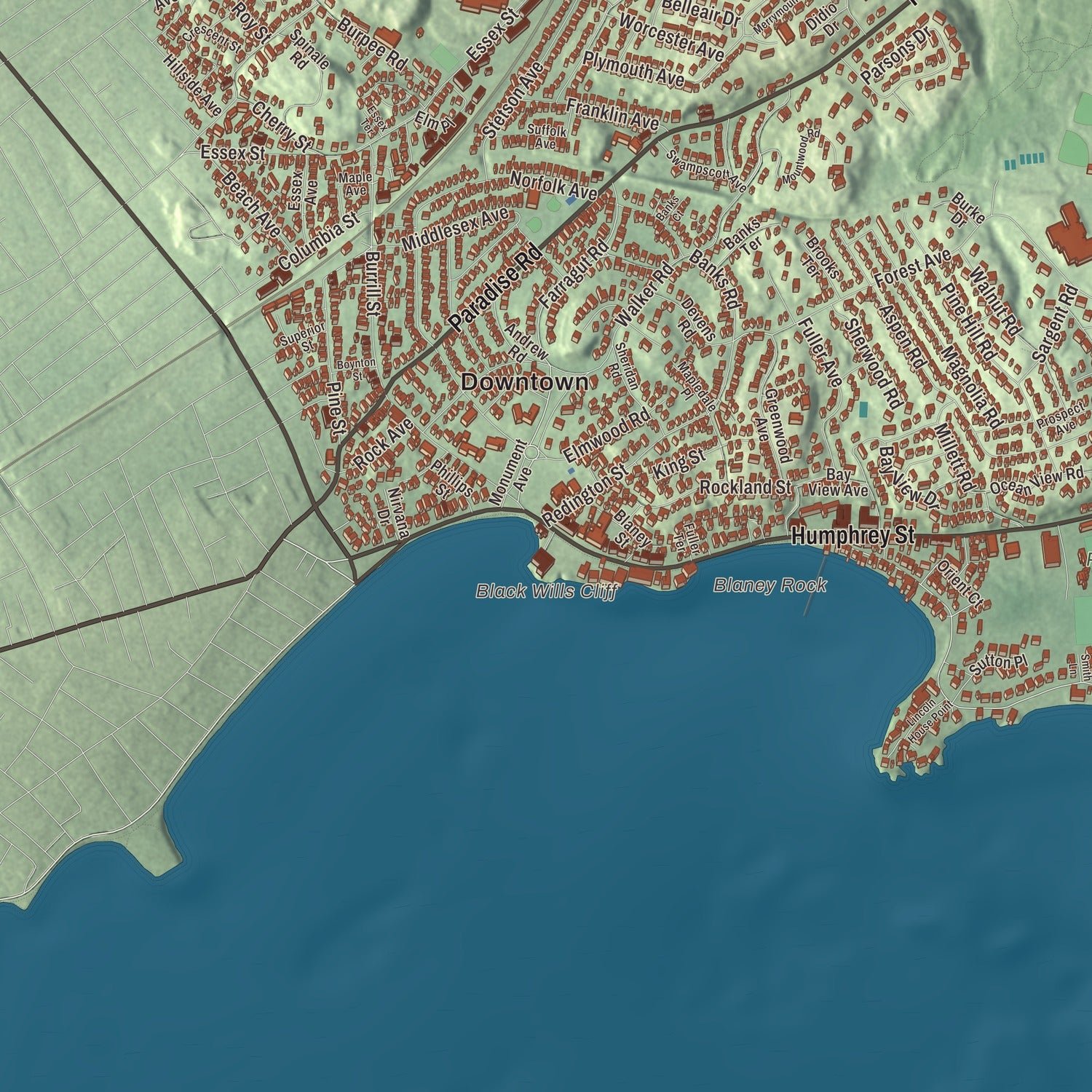 Close-up of the map of Swampscott, Massachusetts print showing terrain and local geography