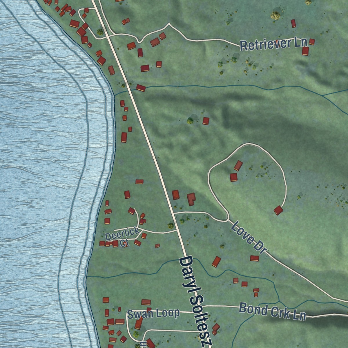 Second close-up of the map of Swan Lake, Montana print showing more streets and buildings
