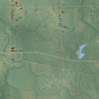 Second close-up of the map of Sylvan, Osceola County, Michigan print showing more streets and buildings