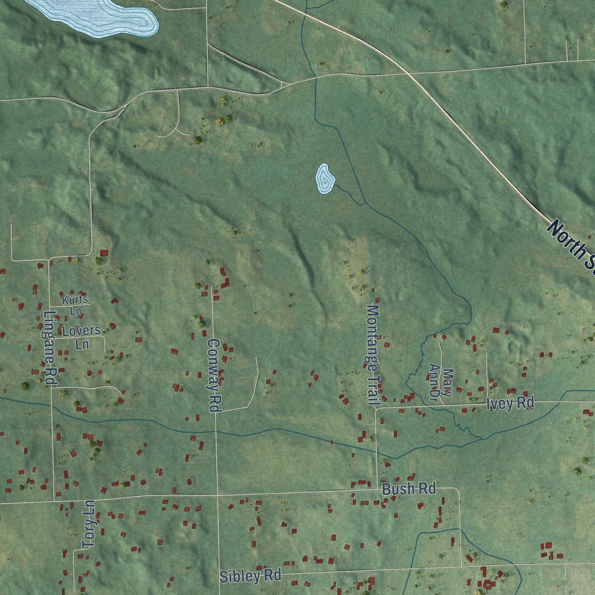 Second close-up of the map of Sylvan, Washtenaw County, Michigan print showing more streets and buildings