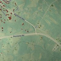 Second close-up of the map of Sylvania, Georgia print showing more streets and buildings