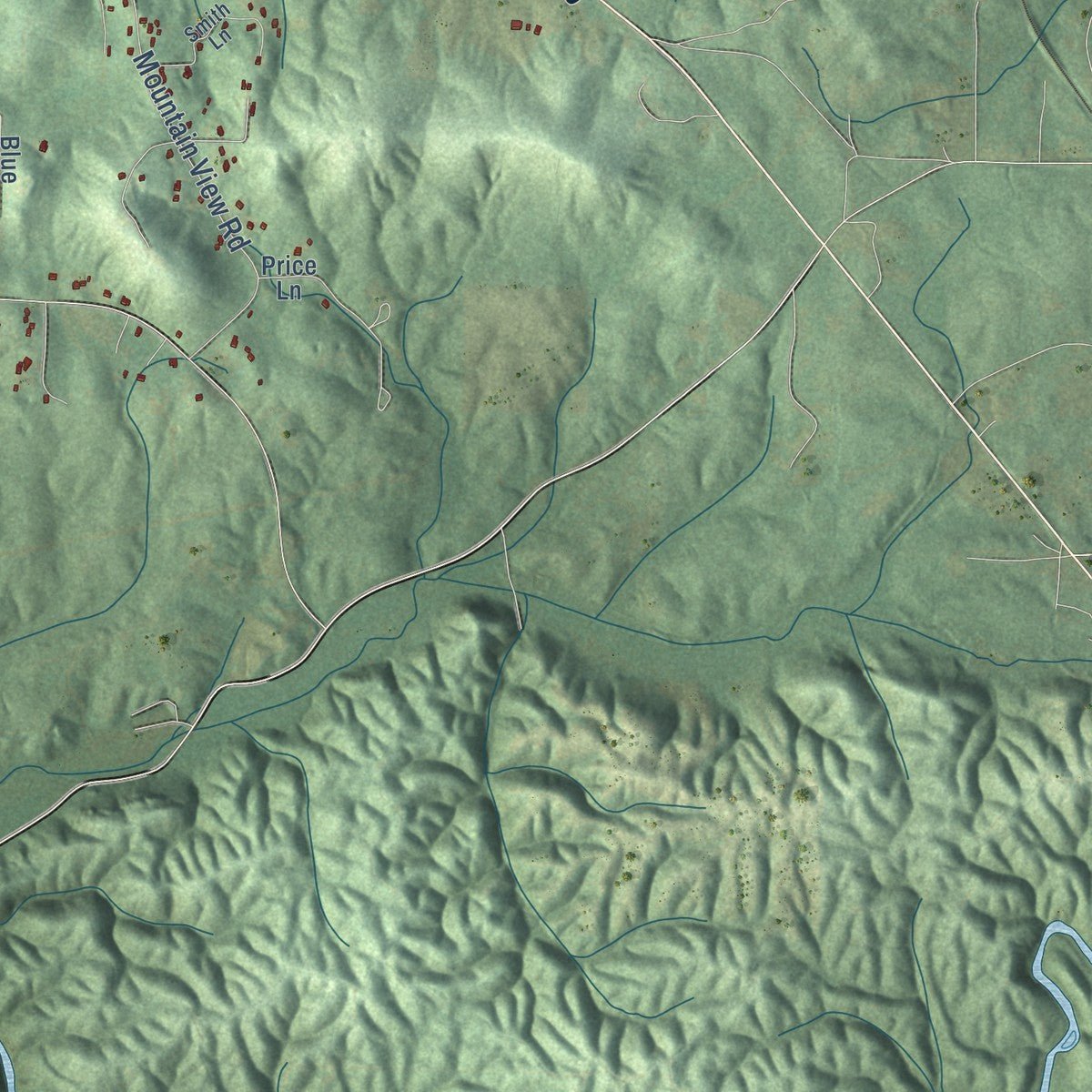 Second close-up of the map of Talladega, Alabama print showing more streets and buildings