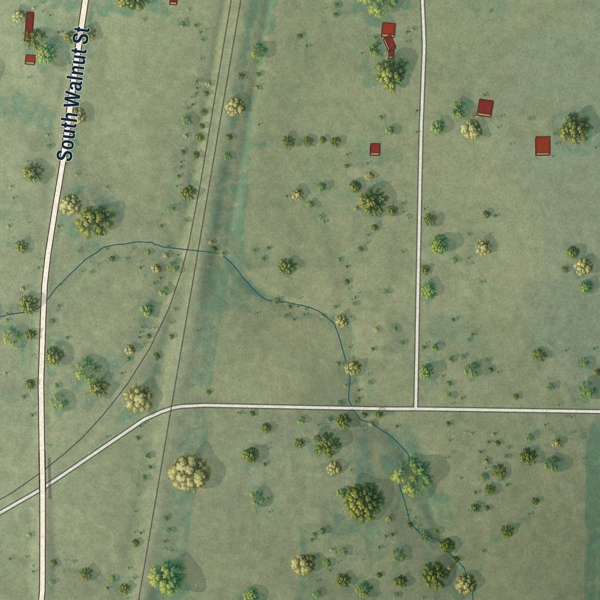 Second close-up of the map of Tamaroa, Illinois print showing more streets and buildings
