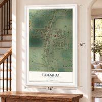 Tamaroa, Illinois map, 24 x 36 inch print in a white frame by a staircase