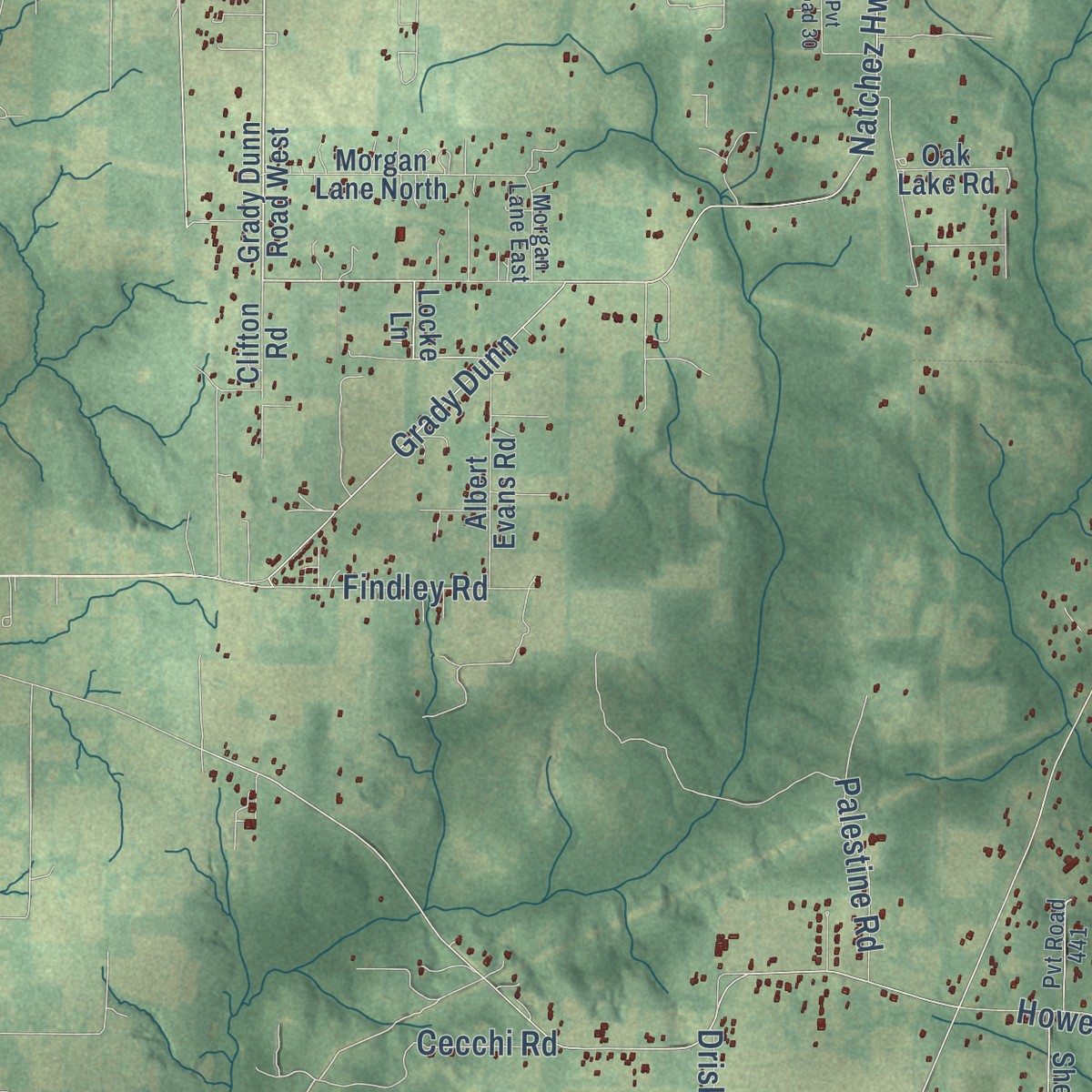 Second close-up of the map of Tanner Williams, Alabama print showing more streets and buildings
