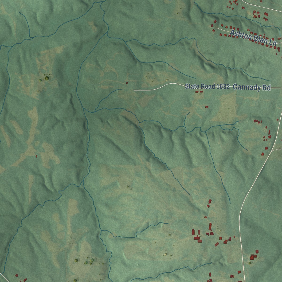 Second close-up of the map of Tar River, North Carolina print showing more streets and buildings