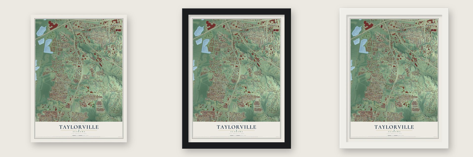 Taylorville, Alabama map unframed, in a black wood frame and in a white wood frame