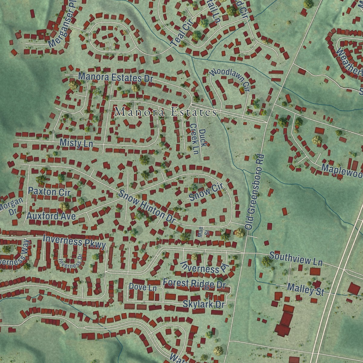 Second close-up of the map of Taylorville, Alabama print showing more streets and buildings