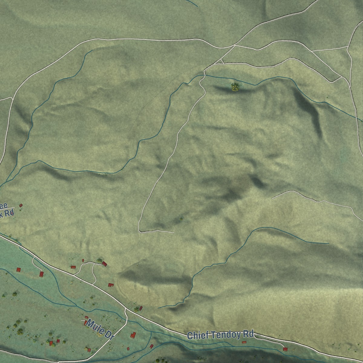 Second close-up of the map of Tendoy, Idaho print showing more streets and buildings