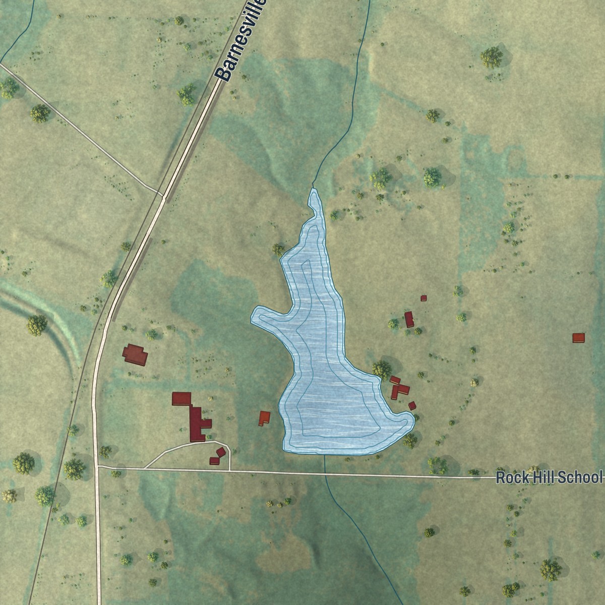 Second close-up of the map of The Rock, Georgia print showing more streets and buildings