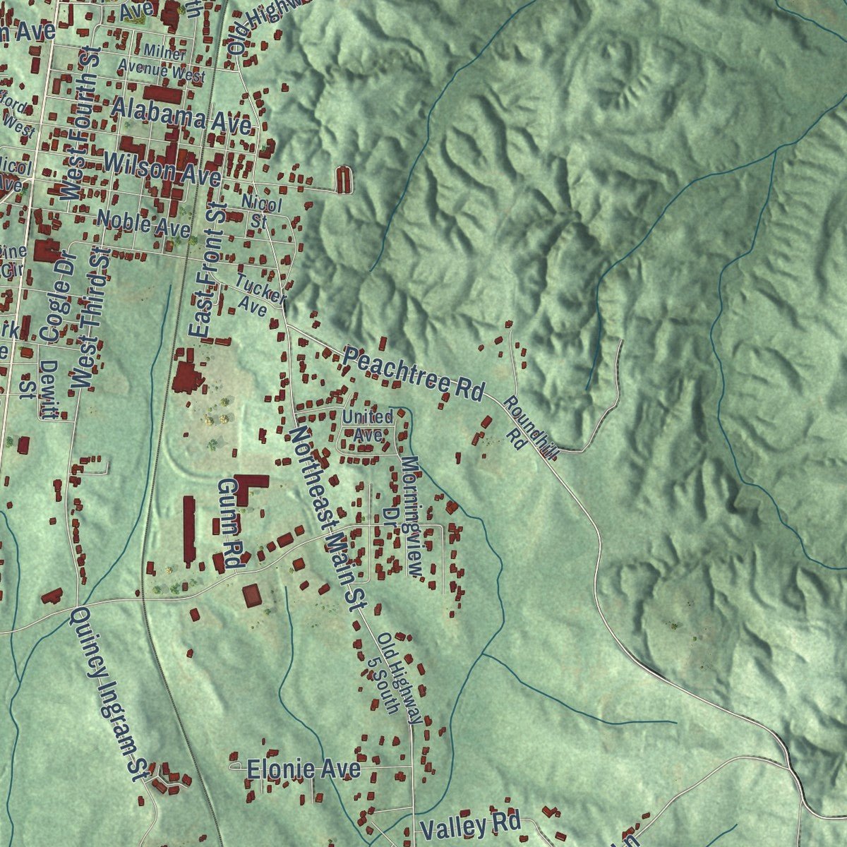 Second close-up of the map of Thomasville, Alabama print showing more streets and buildings