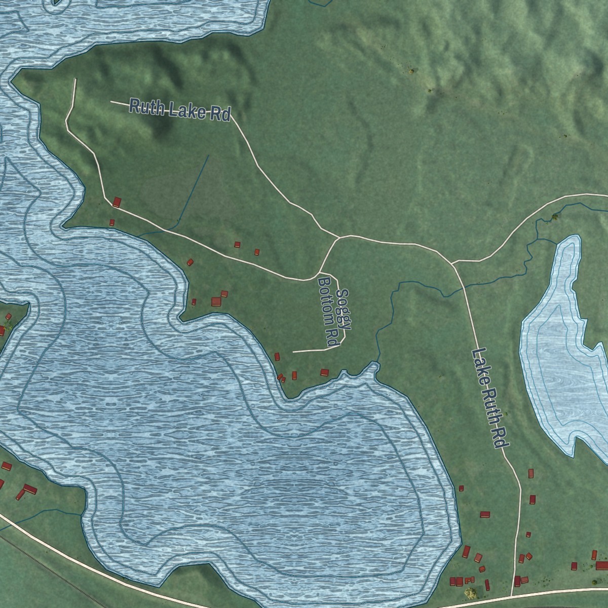 Second close-up of the map of Three Lakes, Michigan print showing more streets and buildings