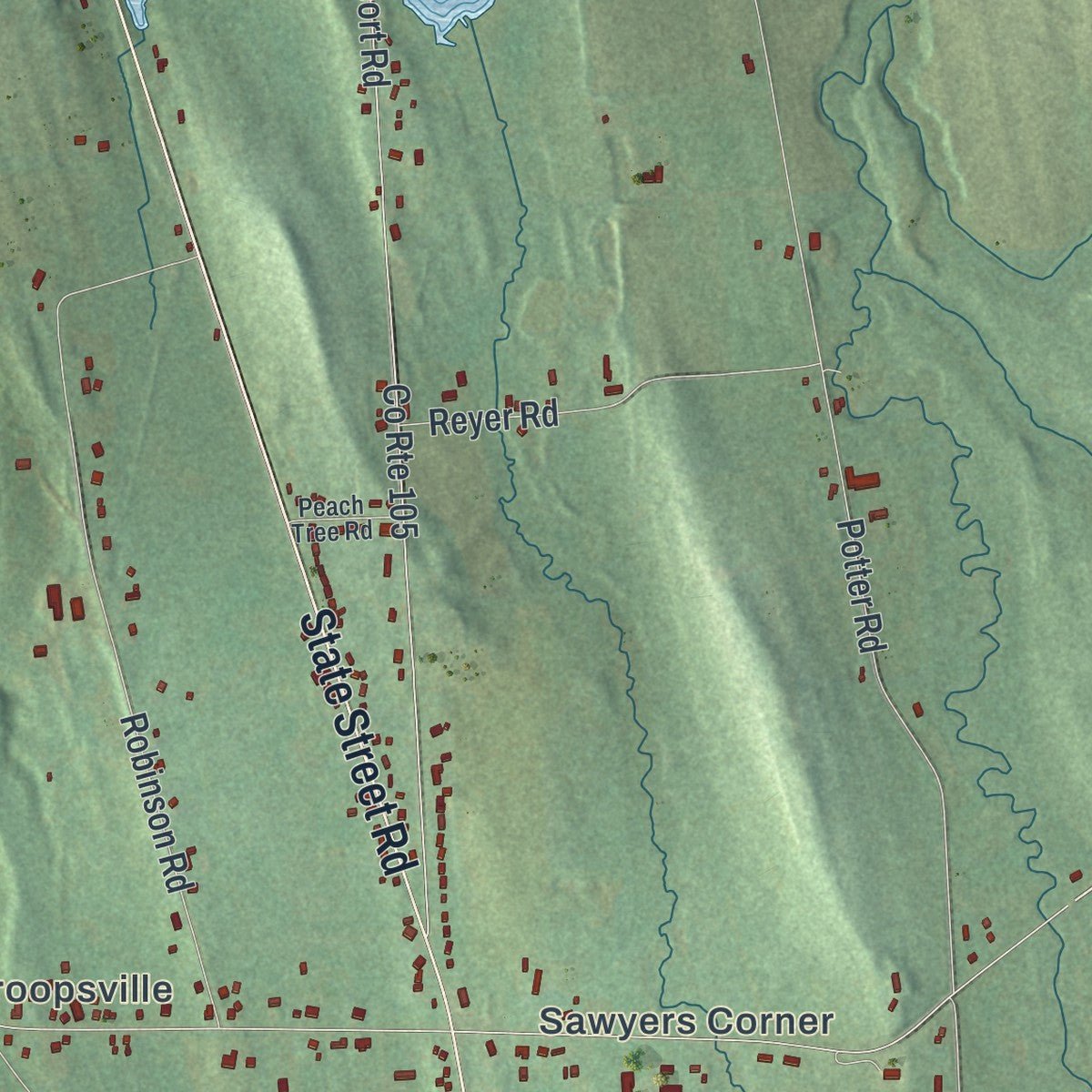 Second close-up of the map of Throop, New York print showing more streets and buildings